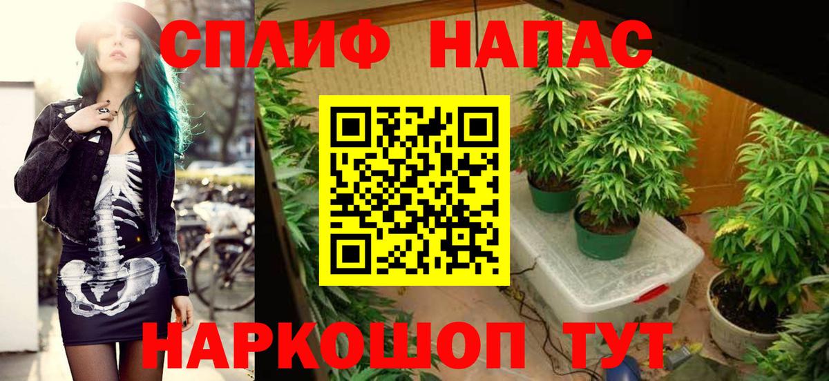 Марихуана марихуана Шелехов